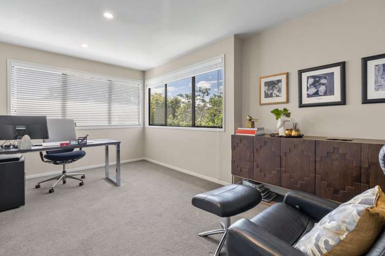 87h Landscape Road Mount Eden_21