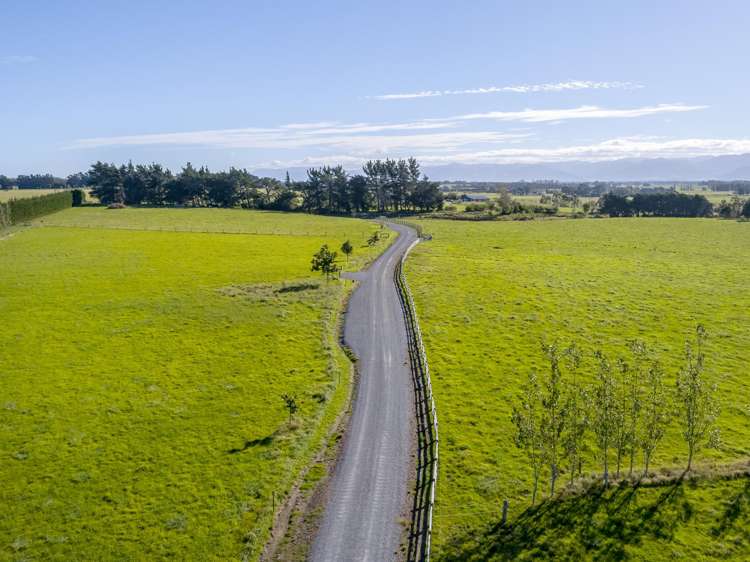 Phelps Way Morisons Bush_9