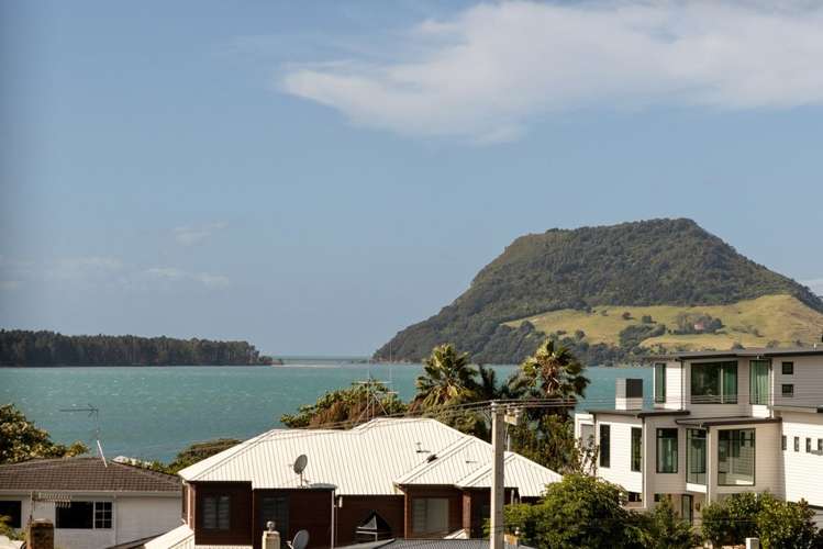 8a Freyberg Street Otumoetai_2