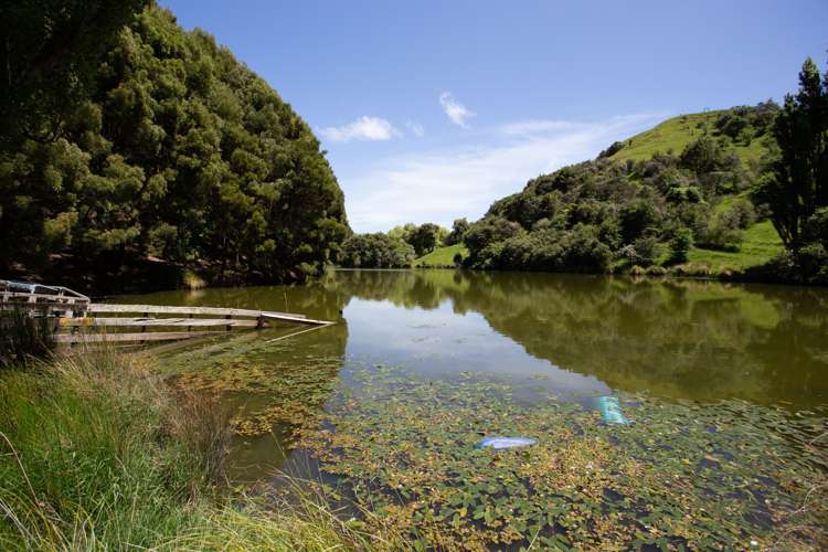 261a Roberts Avenue Aramoho_19