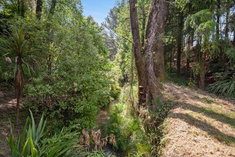 57 Tiverton Downs Road Broadlands_11