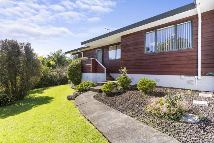 70 Taupo Street Green Bay_4