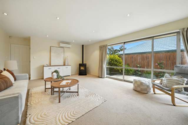 43a Diamond Avenue Spreydon_3