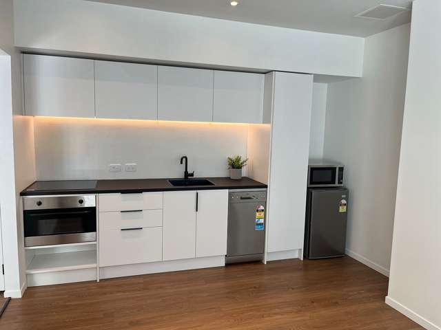 Modern Luxury in Wynyard Quarter – Fully Renovated