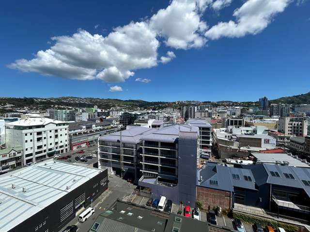 1013/10 Alpha Street Te Aro_1