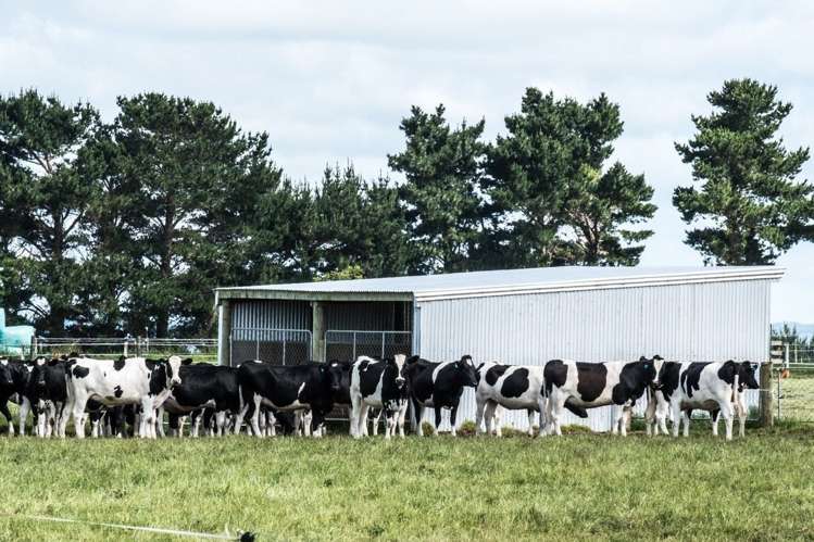 355 Pakaraka Road Waitotara_15