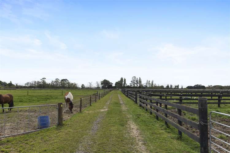 27c Marshmeadow Road Newstead_31