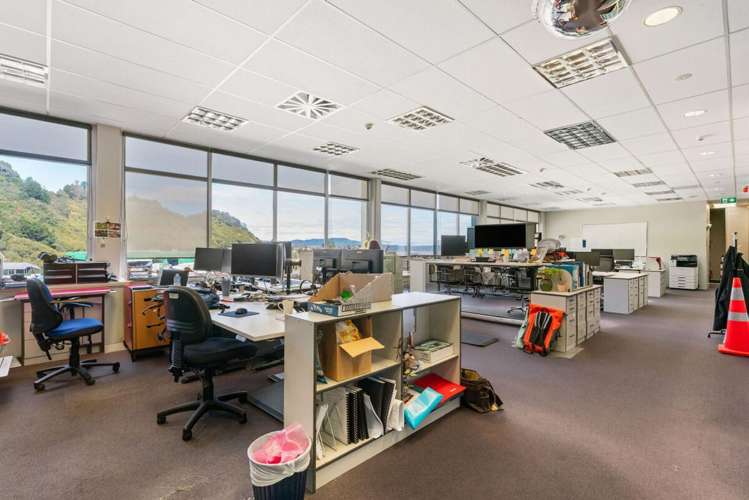 52 Commerce Street Whakatane_10