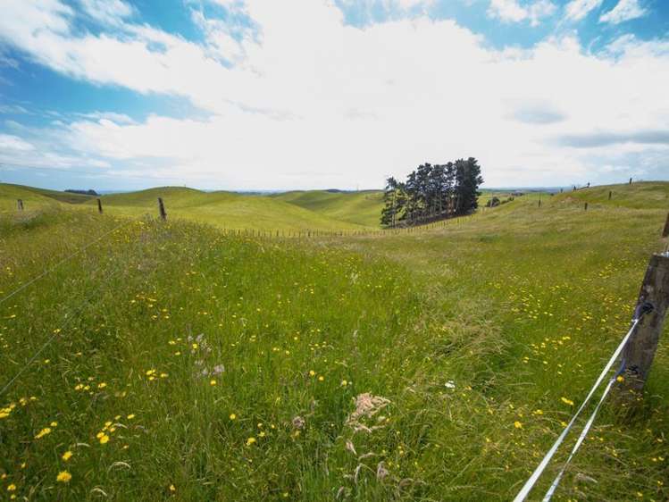 11 Ridge Road Pohangina_14