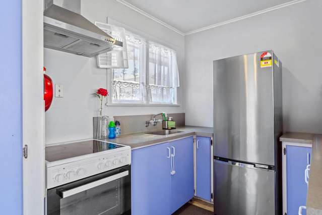 54 Tatariki Street Rosehill_3