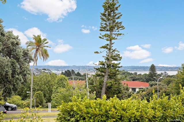 170 Carrington Road Mount Albert_1