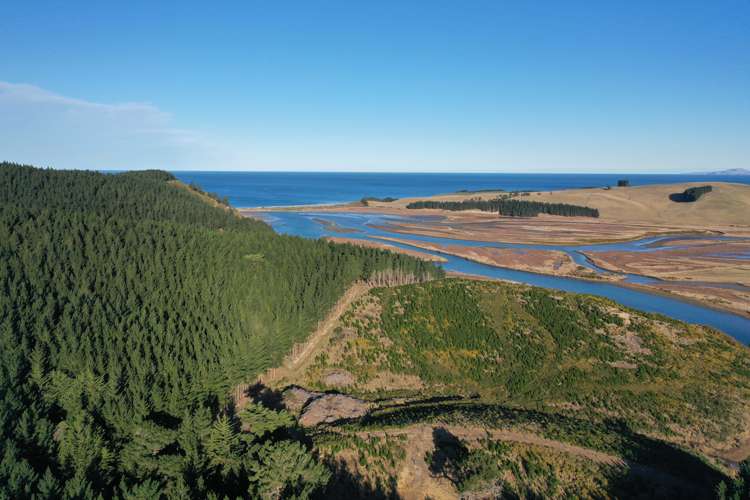 Shag Point Road Palmerston_14