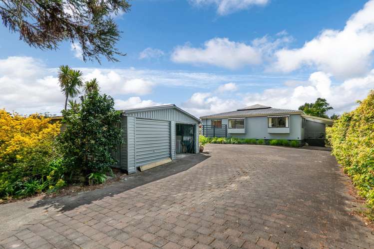 75 Wright Road Dairy Flat_13