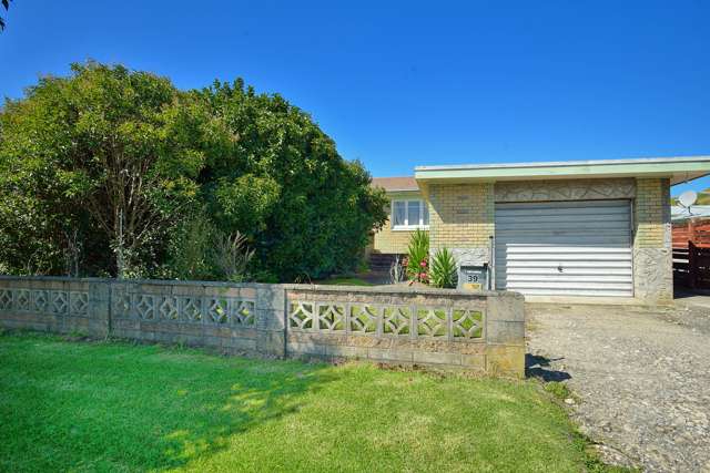 39 Lyell Road Outer Kaiti_1