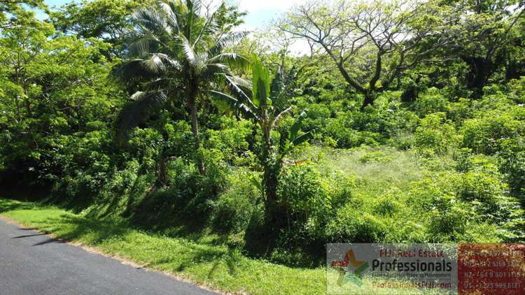 Address withheld Taveuni_13