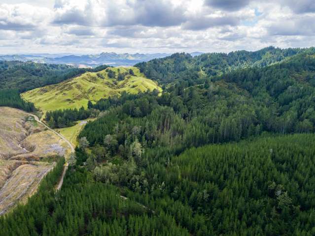 939 Kaiwhata Road Te Wharau_4