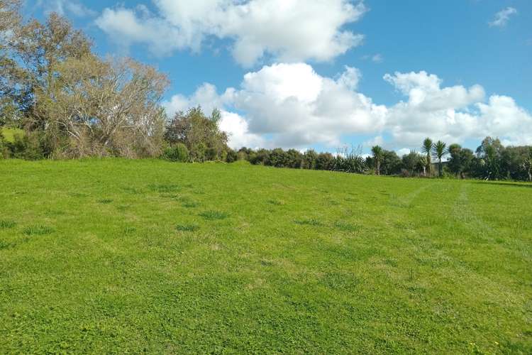 167 Tara Road Mangawhai_8