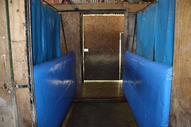 45 Quantock Road Geraldine_12