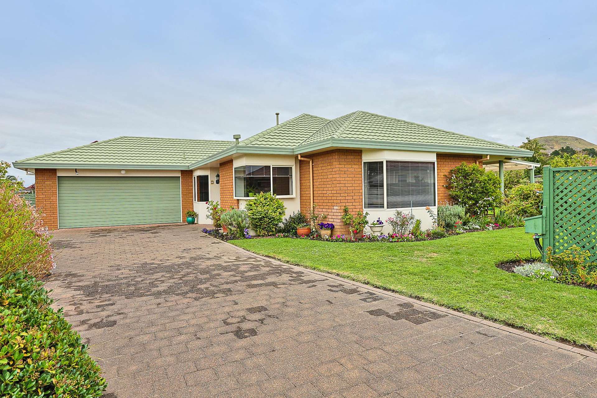 6 Wilton Row Taradale_0