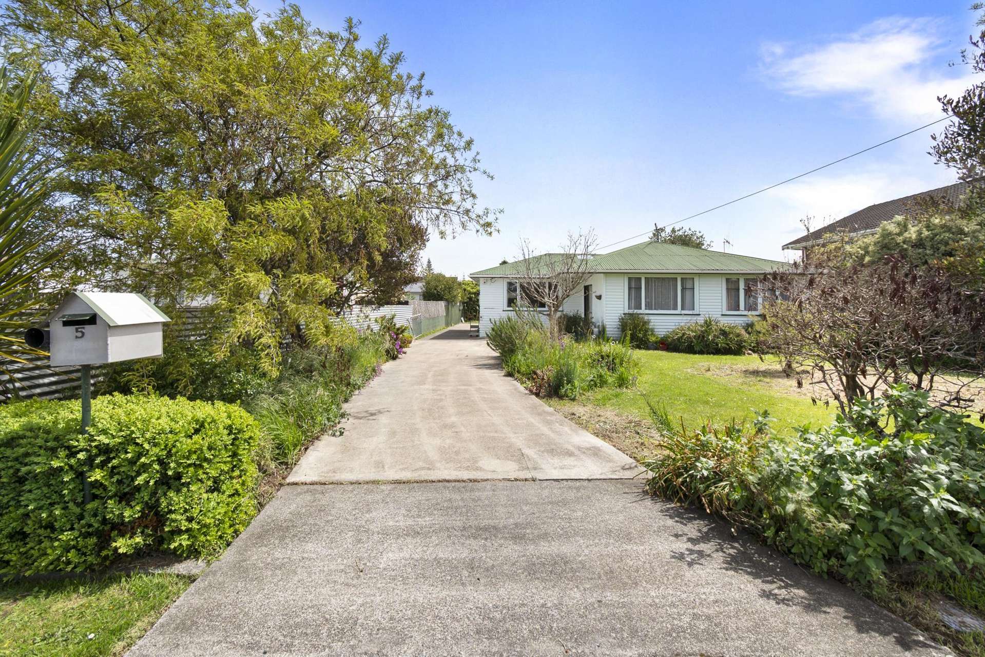 5 Hammond Street Bulls_0