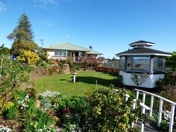 240 Rutherford Street Te Awamutu_17