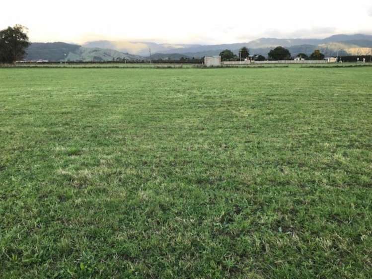 171 Tararua Road Levin_3