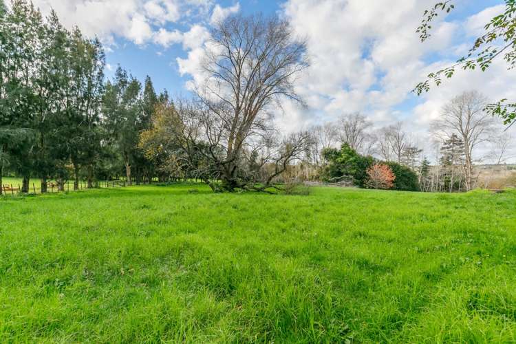 99 Postman Road Dairy Flat_33