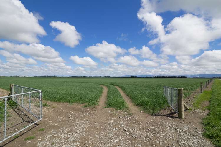 1076 Methven Chertsey Road Lauriston_8