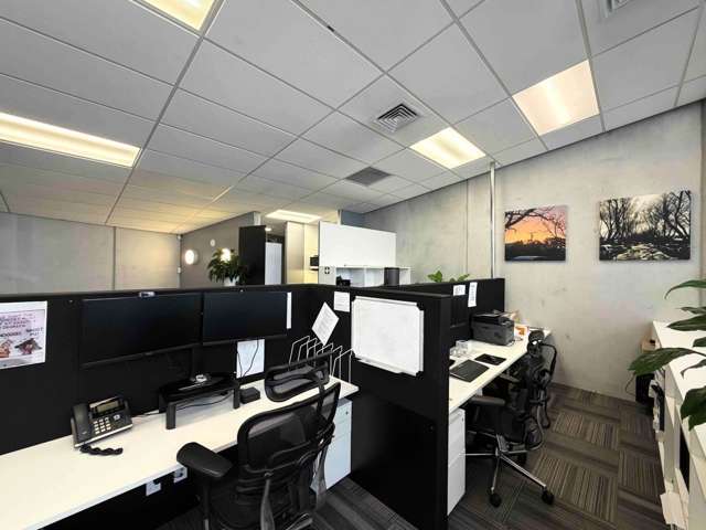 580 Richmond Road Grey Lynn_4