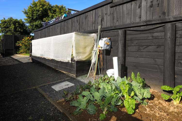 1 Acacia Avenue Kihikihi_24