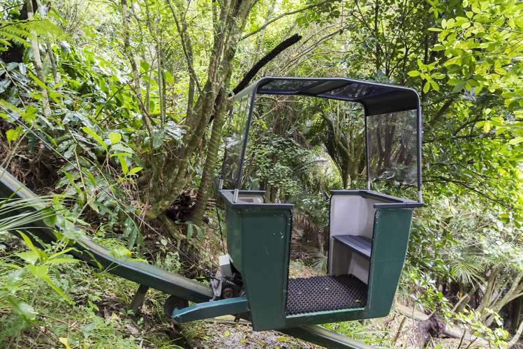 39a Pohutukawa Avenue Cockle Bay_12