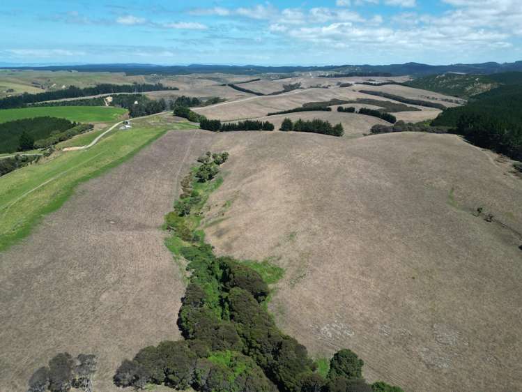 Toko Mouth Road Toko Mouth_15