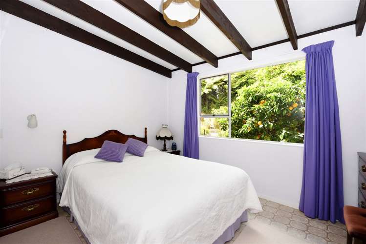 18 Nikau Street Duncan Bay_15