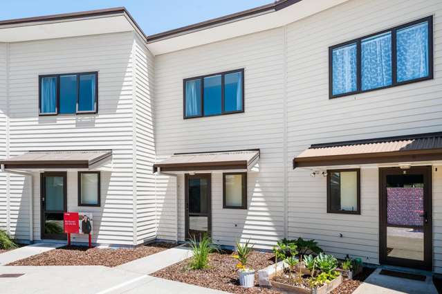 Get In Quick Before They Are Gone