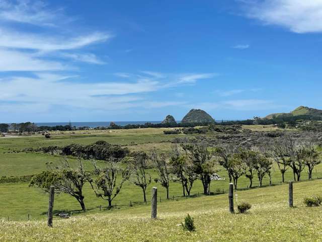 Lot 32 Kaitoke Lane Great Barrier Island_3