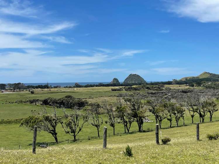 Lot 32 Kaitoke Lane Great Barrier Island_3