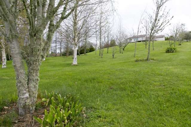 288 Clearwater Lane Rangatira Park_4