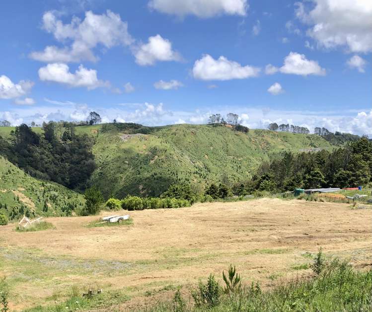 1391 Kaipara Hills Road Kaipara Flats_5