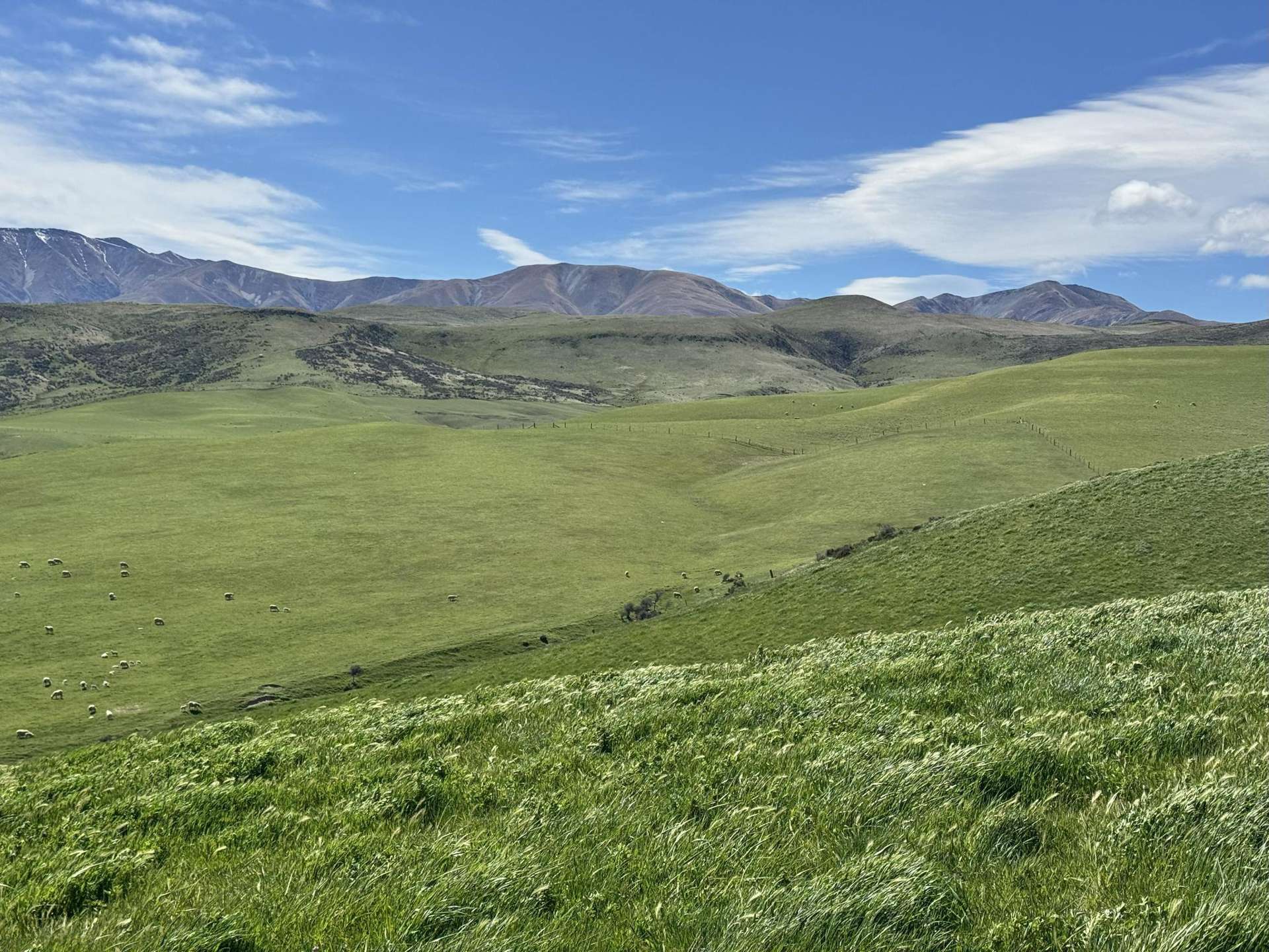 Prestons Road Kyeburn_0