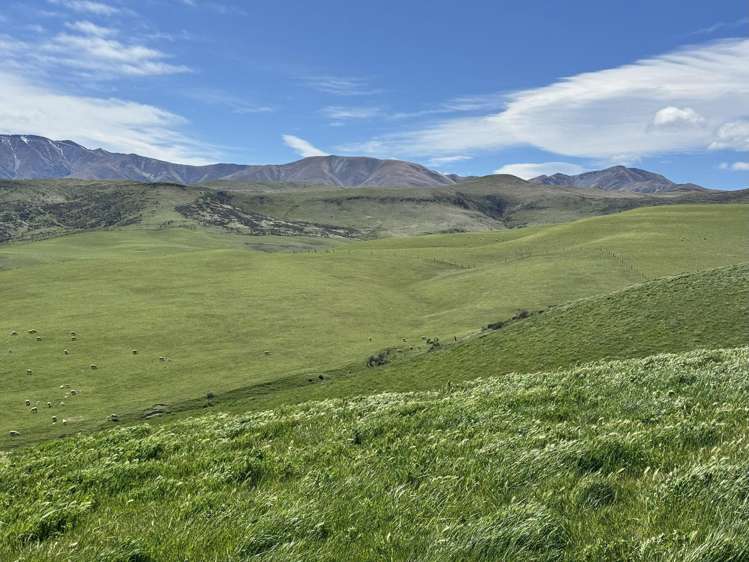 387 Kyeburn-Hyde Road Kyeburn_15