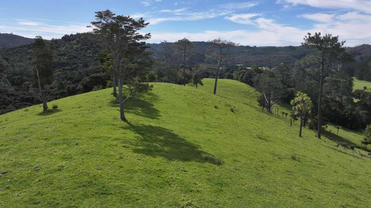 140 Kenana Road Mangonui Surrounds_38
