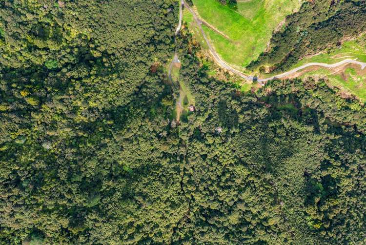 320 Upper Waiwera Road Puhoi_37