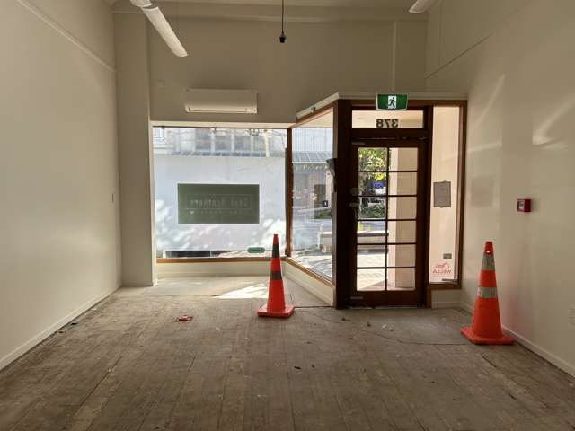378 George Street Dunedin Central_1