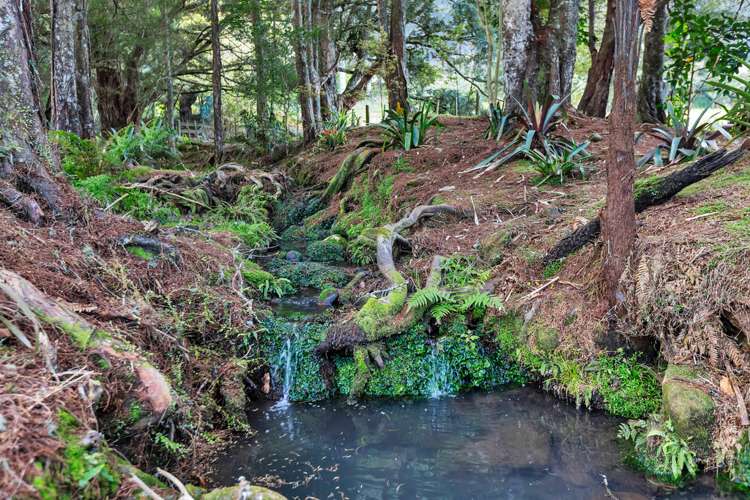 181 Great North Road Kamo_16