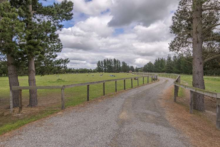 561 Johns Road Fernside_25