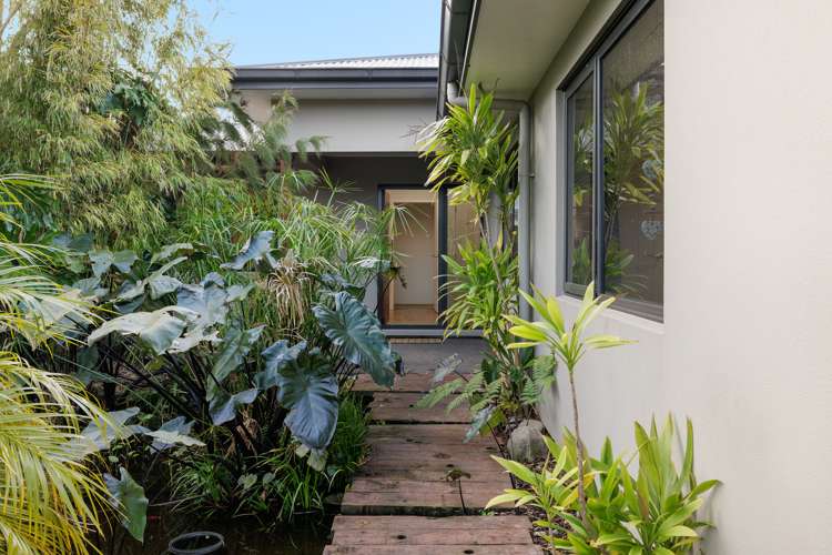 230d Waipapa Block Road Whakamarama_9