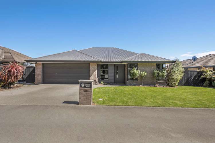 162 Taylor Pass Road Witherlea_19