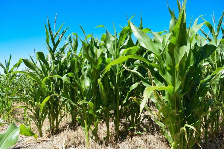 37 Sladdens Farm Road Oxford_12