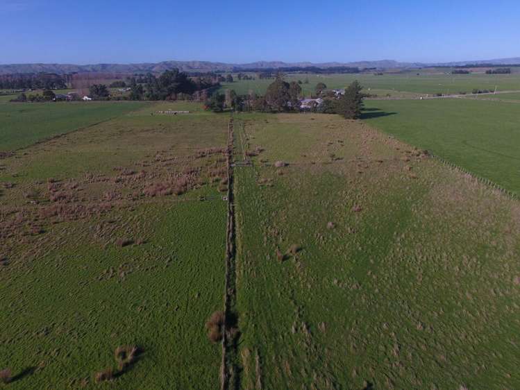 280 Battersea Road Greytown_12