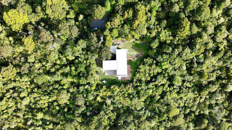 296 Piha Road Piha_88